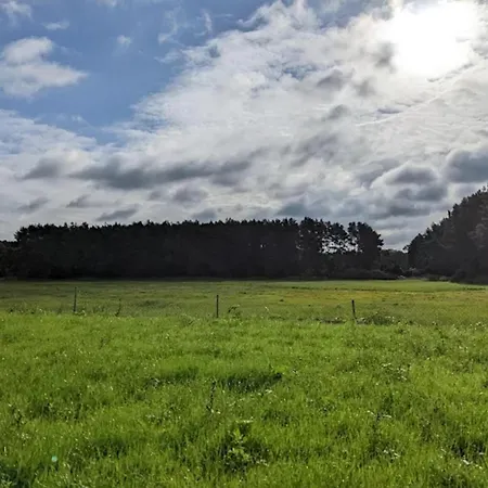 Am Weinberg, * Dobbrikow