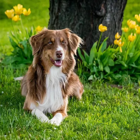 Am Weinberg, Holiday home *