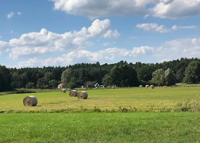 Am Weinberg, 펜션 *